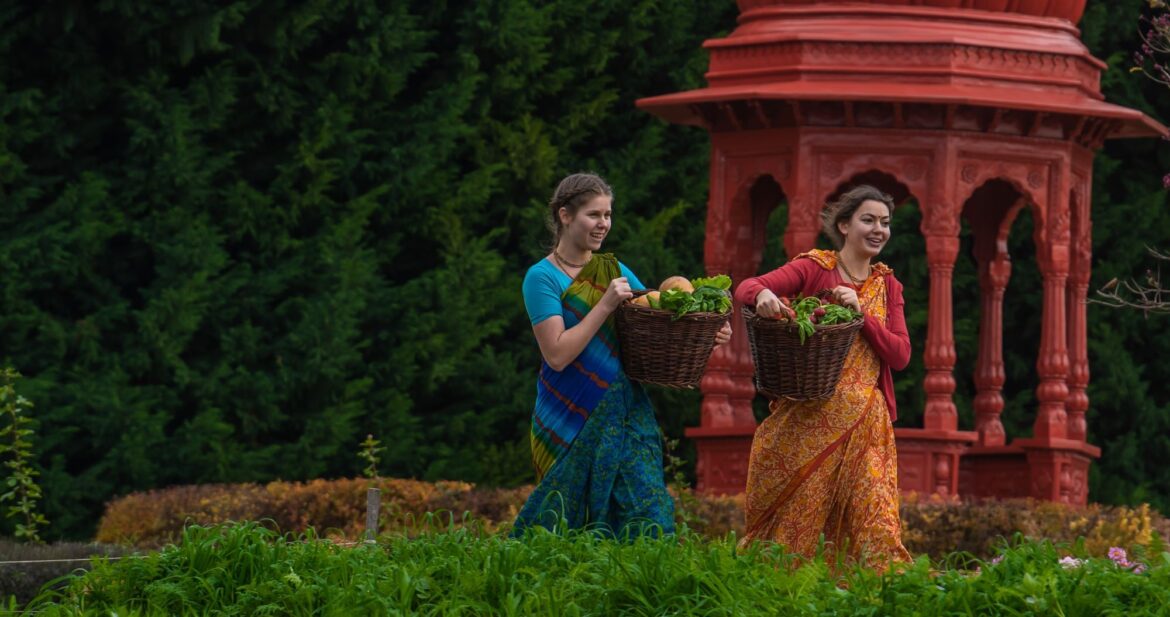 Környezetvédelem Otthon: Hulladékcsökkentés, újrahasznosítás és fenntartható életmód