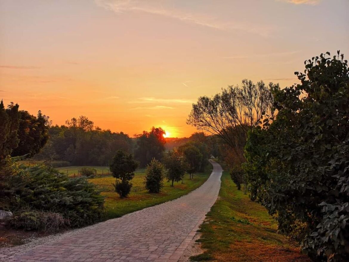 Hogyan találhatjuk meg a helyünket a világban?